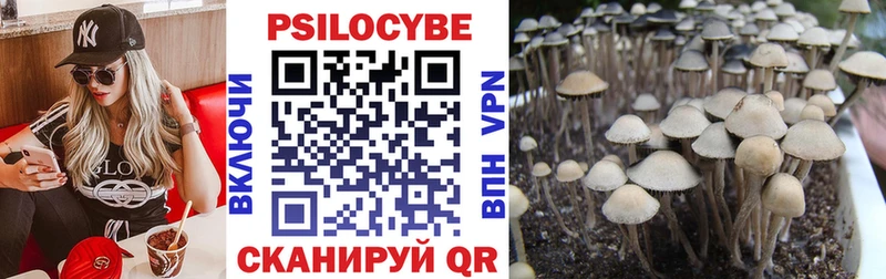 Купить где  Первомайск  Псилоцибиновые грибы Psilocybine cubensis 